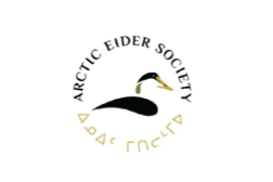 Arctic Eider Society Logo
